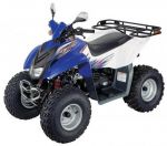 Dinli DL 604